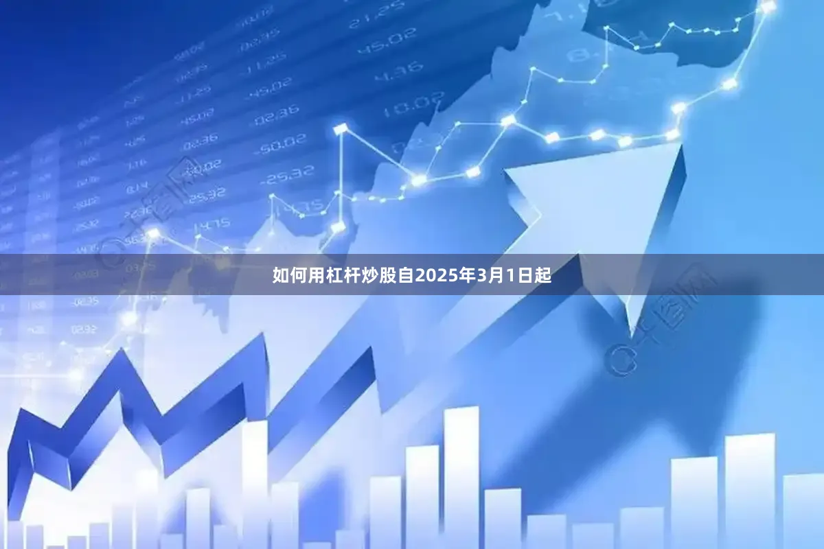 如何用杠杆炒股自2025年3月1日起