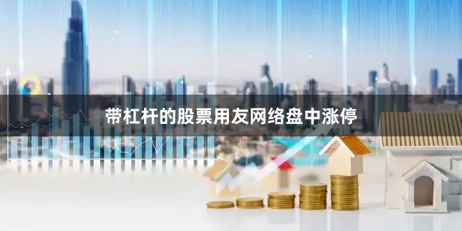 带杠杆的股票用友网络盘中涨停