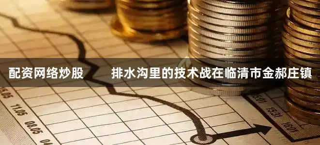 配资网络炒股        排水沟里的技术战在临清市金郝庄镇
