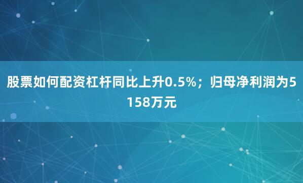 股票如何配资杠杆同比上升0.5%；归母净利润为5158万元